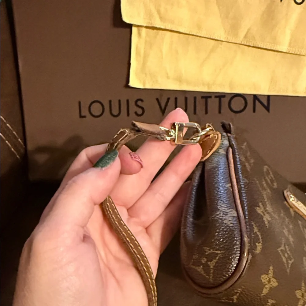 Louis Vuitton Monogram Canvas Crossbody Bag in Brown and Tan